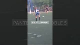 Panteras en doble 5 [upl. by Mcgaw667]