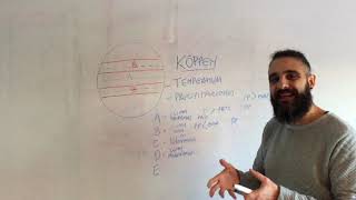 Clasificación climática de Köppen [upl. by Aydidey]