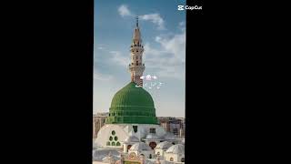 Nabi da Pyara Ali Noor Allah Noor Ali Da ha Allah kabay chay zahoor [upl. by Neenad194]