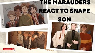 The Marauders React To Snape Son  ￼Harry Potter [upl. by Earl]