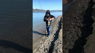 Fishing  Lake Berryessa CA [upl. by Krishna]