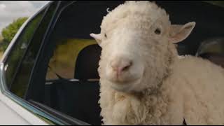 Volkswagen Tiguan  Commercial Sheep quotBreak Freequot 2022 030 [upl. by Anirdnaxela]