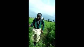 HerbicideGlyphosate application on land using knapsack sprayer [upl. by Elletnahc]