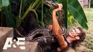 Top 3 PYTHON Captures Part 2  Billy the Exterminator  AampE [upl. by Sedrul]