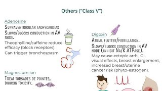 Class 5 Anti Arrhythmic Drugs  Mode of Action of Digoxin Digitalis [upl. by Akinat189]