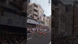 Sting boy Awa Dance Yamato Kanagawa Japan 2024 [upl. by Zinn]