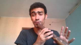 Extreme Effort quotFreestylequot  Recorder Beatbox  Medhat Mamdouh [upl. by Azarcon]