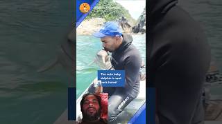 Rescue Team Dolphin fishing dolphinlove fish shark animals bigfish feelgood dolphin cute [upl. by Hubert925]