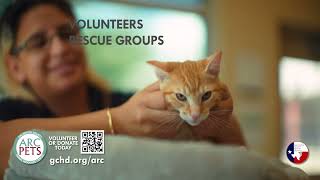 Galveston County Animal Resource Center [upl. by Noved920]