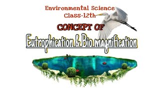 Concept of Eutrophication and Bio magnification  Water Pollution environmentalsciences JKBOse 12 [upl. by Alyak]