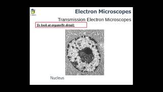 211 Cell Structure a Microscopy c Staining f Magnification and resolution [upl. by Lehsreh127]