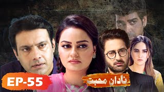 Nadaan Muhabbat  Episode 55  Play Entertainment Tv  Jawariya Abbasi Hannan Sameed [upl. by Ellehcsor]