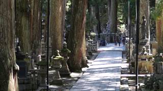 Okunoin Cemetery  Koyasan [upl. by Lonnie]