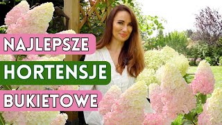 HORTENSJE BUKIETOWE  7 najlepszych odmian do ogrodu i na taras [upl. by Season]