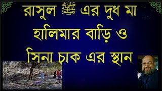 রাসুল ﷺ এর দুধ মা হালিমার বাড়ী ও সিনা চাকের স্থান মাকারিম ৮ [upl. by Ahsaele613]