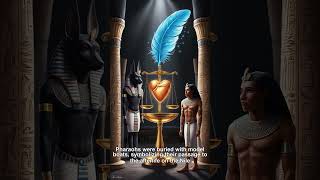 Ancient Egypt Fact 0226 ancientwonders ancientcivilization abundance [upl. by Terrene]