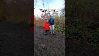 Wackelwald  DAS ist krass 😱 wackelwald vlog shorts ausflugstipps [upl. by Ingeborg]