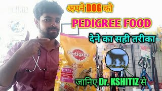 HOW TO GIVE PEDIGREE TO DOG RIGHT WAY TO GIVE PEDIGREE TO YOUR DOG । DOG को pedigree कैसे दें [upl. by Osugi]