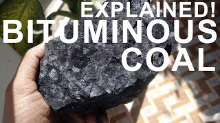 How coal is formed  Practically demonstration [upl. by Aynekat180]