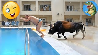 Try Not To Laugh 🤣  Hilarious People  Instant Regret Fails Compilation 2024 2 [upl. by Jezrdna]