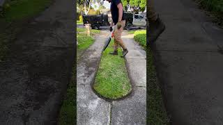 Favourite LAWN CARE process [upl. by Ablasor]