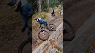 Nesbyen trail center🚲🚲mtb shortvideo canyonbikes downhill mountainbike sendit [upl. by Gwenni972]