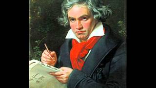 Ludwig van Beethoven  Allegro con brio  5th Symphony [upl. by Brownson]