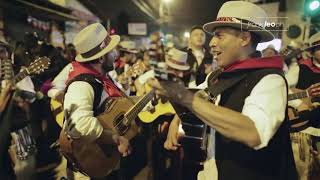 Taurinos Tabacundo Cayambe  Candelaria Pura Alegría Alangasí [upl. by Aer]