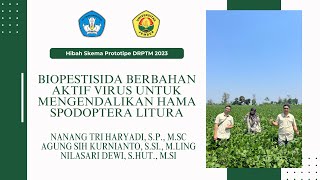 Hibah Skema Prototipe DRPTM  Biopestisida Berbahan Aktif Virus Mengendalikan Hama Spodoptera litura [upl. by Ived990]