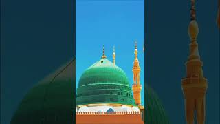 Dar e nabi par ye umr bite 💚  shortsfeed viralshorts islamicvideo [upl. by Aniram]