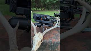 best crossbow ravin r500 crossbow ballesta bowhunting hunting deerhunting deer [upl. by Torbart]