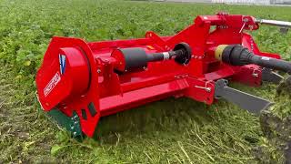 Groenbemester klepelen met Concept Agri WT300 [upl. by Eatnahs]