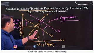 P1 Foreign Exchange Rate  Flexible and Fixed Exchange Rate लचीली और निश्चित विनिमय दर [upl. by Senaj]