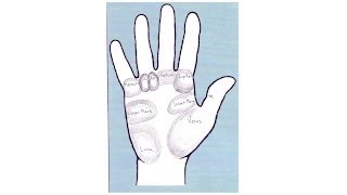 7 Mounts of the Hand  Palm Reading [upl. by Olag989]