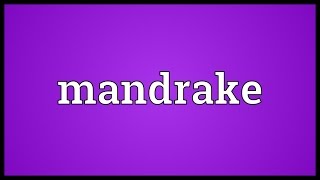 Mandrake Meaning [upl. by Link]