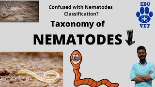 Phylum Nematoda Basics Veterinary Parasitology [upl. by Ayoral]