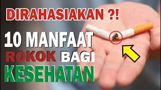 Rahasia  10 Manfaat Rokok yang Disembunyikan Para Ilmuwan amp Pemerintah bagi Kesehatan [upl. by Icat257]