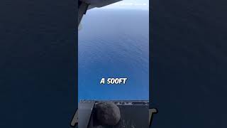 quotInsane Stuntquot Rock Dropped From Plane Over Ocean [upl. by Einahpats]