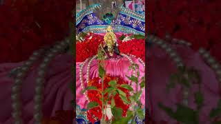 Radhe Radhe facebook radhekrishnabhajans hindufestival trending bhajan [upl. by Stetson]