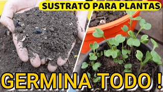 Cómo Preparar SUSTRATO CASERO para GERMINAR SEMILLAS  RÁPIDO ⚡🌱 Sustrato para SEMILLEROS [upl. by Sonitnatsnok40]