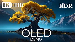 OLED DEMO 8K HDR Screen amp Internet Speed Test [upl. by Yrekaz]