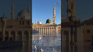 Seyyed abdul wasi qadri razvi naat shorts new viralvideo [upl. by Assilana]