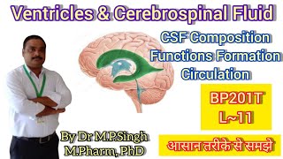 Ventricles  Cerebrospinal Fluid CSF  Human Anatomy amp PhysiologyII  BP201T  L11 [upl. by Sulakcin]