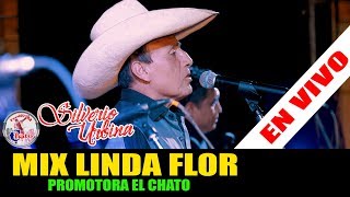 MIX LINDA FLOR  SILVERIO URBINA 2019  Promotora EL CHATO [upl. by Rabbi]