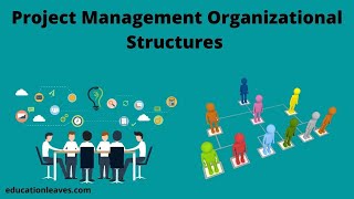 Project Management Organizational Structures [upl. by Orose]