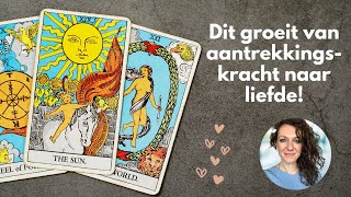 Dit groeit van aantrekkingskracht naar liefde  December 2023  Tarot Reading [upl. by Kaiser]