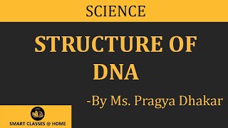 Structure of DNA BSc MSc lecture by Pragya Dhakar I Guru Kpo [upl. by Mclyman944]