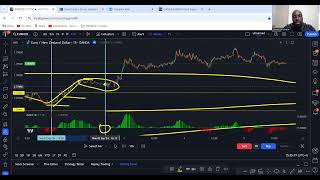 Master Forex Trading in 2024 With These PROVEN Strategies [upl. by Doniv15]