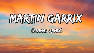 Martin Garrix  Animals Remix [upl. by Adon]