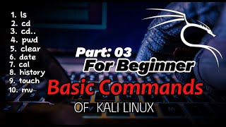 Basic Commands Of Kali Linux in Urdu amp Hindi 20242025 [upl. by Reifel965]